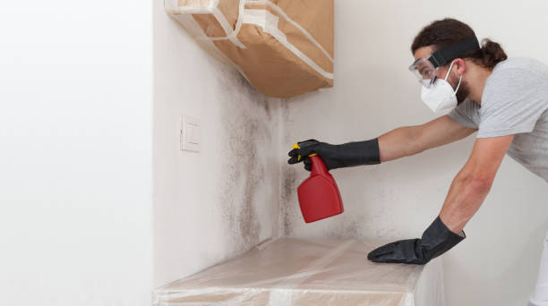 Professional Black Mold Remediation technician working in Long Beach, NY